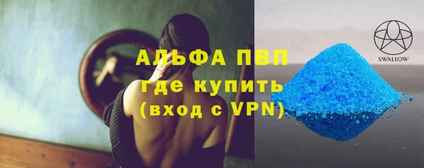 шишки Заволжье