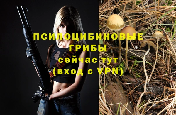 соль ск Зеленокумск