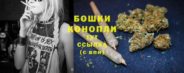 шишки Заволжье
