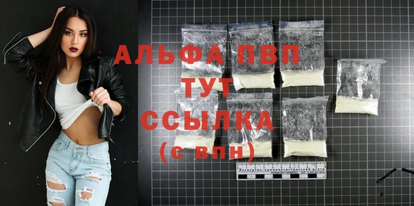 шишки Заволжье