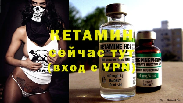 шишки Заволжье