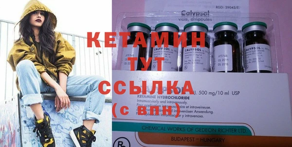 шишки Заволжье