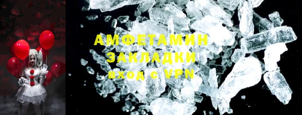 шишки Заволжье