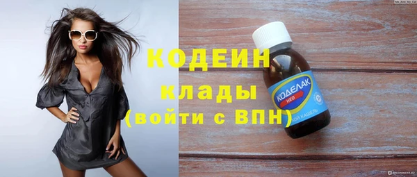 шишки Заволжье