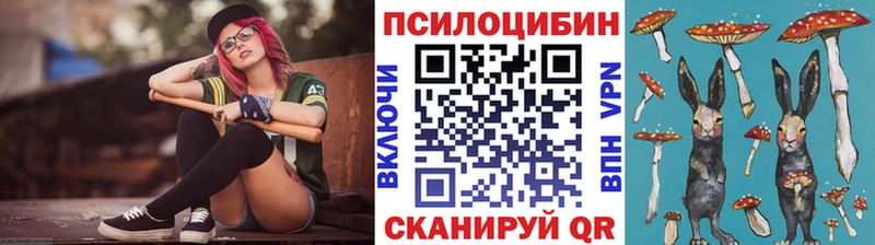 Псилоцибиновые грибы GOLDEN TEACHER  Тырныауз 